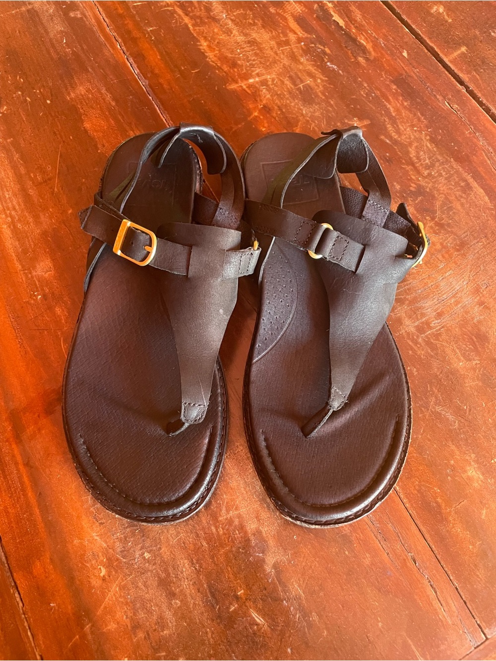 Teva Black Leather Thong Sandals with Gold Buckles